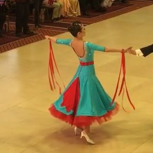 Standard Ballroom Dress